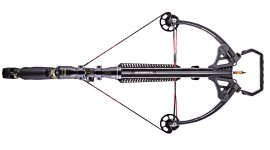 Barnett Quad Edge Set
