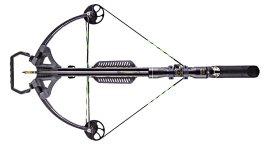 Barnett Quad Edge Set