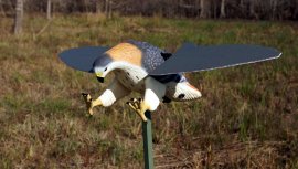 Balabán MOJO Hawk - Hawk