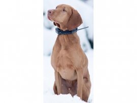 Lokalizator GPS Dogtrace DOG GPS X20 5