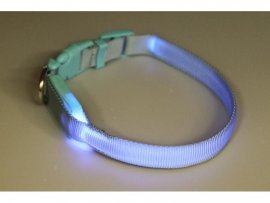 Luminous Dogtrace Collar 28-38cm