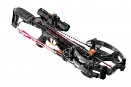 Raptor BCX 04.jpg