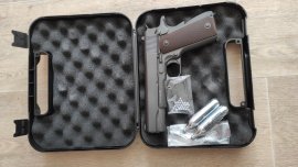 Recenzje: Walizka na pistolet 24,7x17,7x7,1 - 1