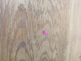 Recenzje: Diabolo Kvintor Drotik 4,5 mm 10 szt. - 2
