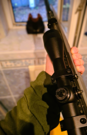 Recenzje: Wiatrówka Umarex Synergis Elite KIT 5,5mm 16J - 2