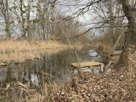 Recenzje: Gliniane kulki do procy Wildee 9-10mm 100szt - 1