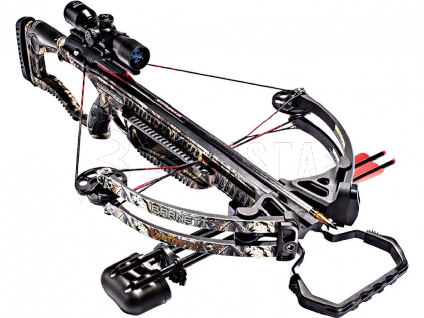 Barnett Quad Edge Set