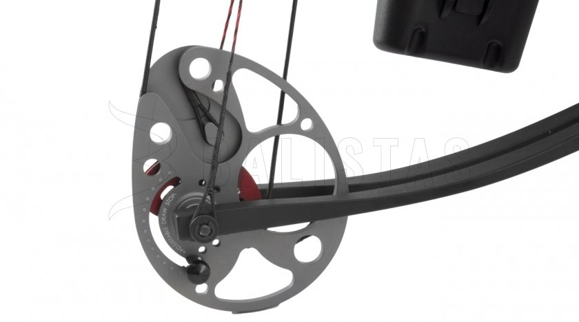 Łuk Poe Lang Assassin 20-70lbs
