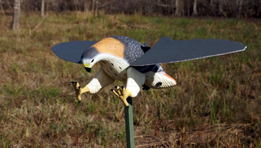 Balabán MOJO Hawk - Hawk