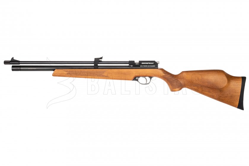 pr900.jpg