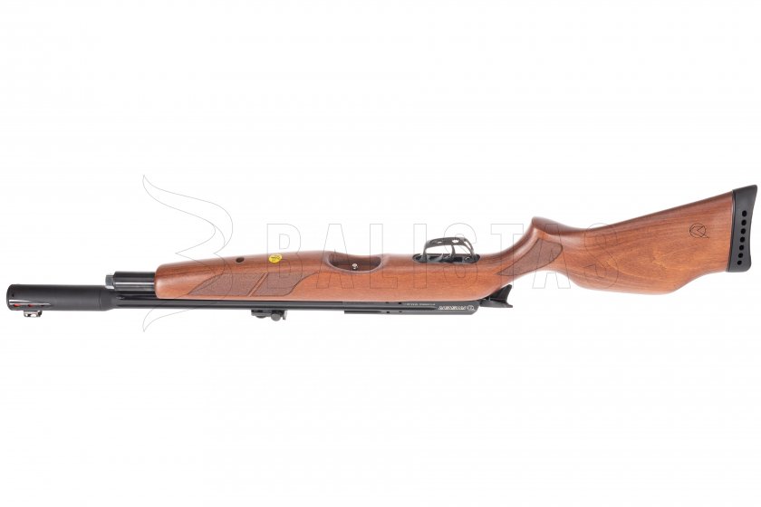 Wiatrówka Gamo Riser Punisher 4,5mm 10