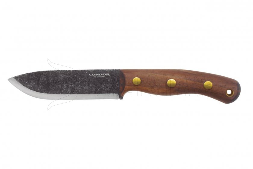 Condor Bisonte 01.jpg