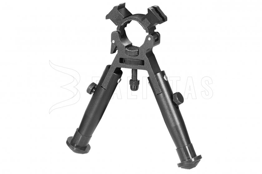 Gamo 01.jpg